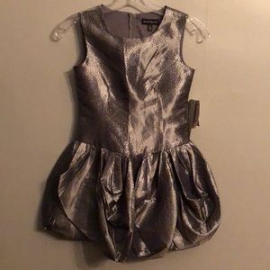 Secret Charm Silver Dress